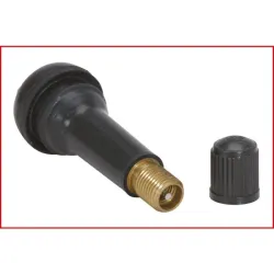 Démonte obus dynamométrique pour valve . 0.25Nm KSTOOLS 150.2029 | 150.2029