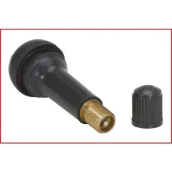 Démonte obus dynamométrique spécial valve 0.45Nm KSTOOLS 150.2031 | 150.2031
