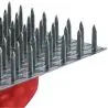 GRATTON TOLE 240 POINTES 15MM Taliaplast 301304