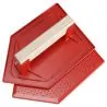 TALOCHE PS ROUGE 27X18CM POINT Taliaplast 300706