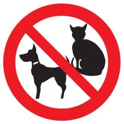 Panneau INTERDIT AUX ANIMAUX NORMASIGN Taliaplast 624299