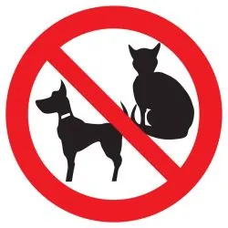 Panneau INTERDIT AUX ANIMAUX NORMASIGN Taliaplast 627299