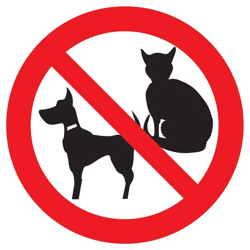 Panneau INTERDIT AUX ANIMAUX NORMASIGN Taliaplast 623299