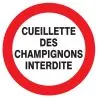Panneau CUEILLETTE CHAMPIGNONS INTERD. Taliaplast 624241