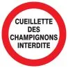 Panneau CUEILLETTE CHAMPIGNONS INTERD. Taliaplast 623238