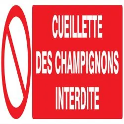 Panneau CUEILLETTE DES CHAMPIGNONS INT Taliaplast 620221