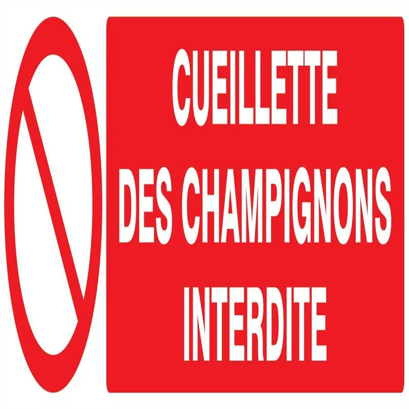 Panneau CUEILLETTE DES CHAMPIGNONS INT Taliaplast 620221