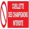 Panneau CUEILLETTE DES CHAMPIGNONS INT Taliaplast 620221