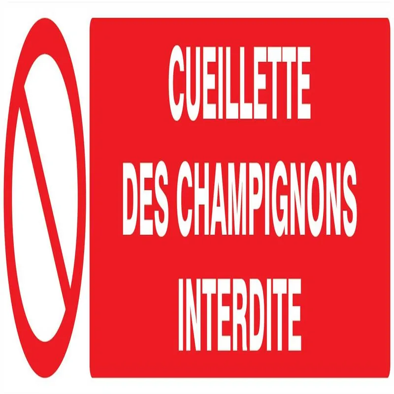 Panneau CUEILLETTE DES CHAMPIGNONS INT Taliaplast 625221
