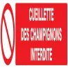 Panneau CUEILLETTE DES CHAMPIGNONS INT Taliaplast 625221