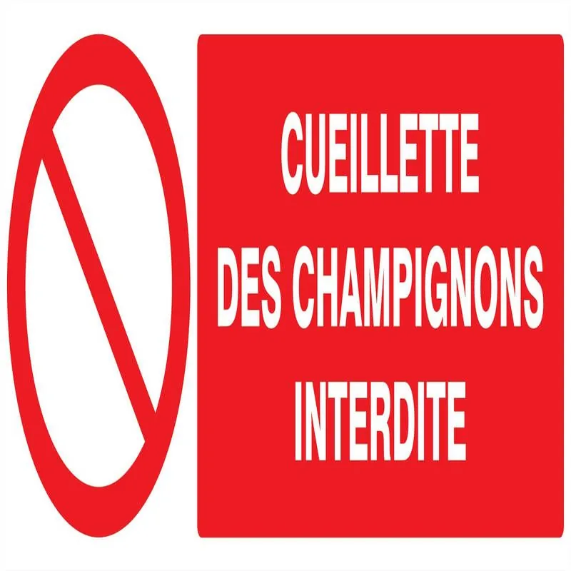Panneau CUEILLETTE DES CHAMPIGNONS INT Taliaplast 626221