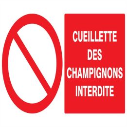 Panneau CUEILLETTE DES CHAMPIGNONS INT Taliaplast 621221
