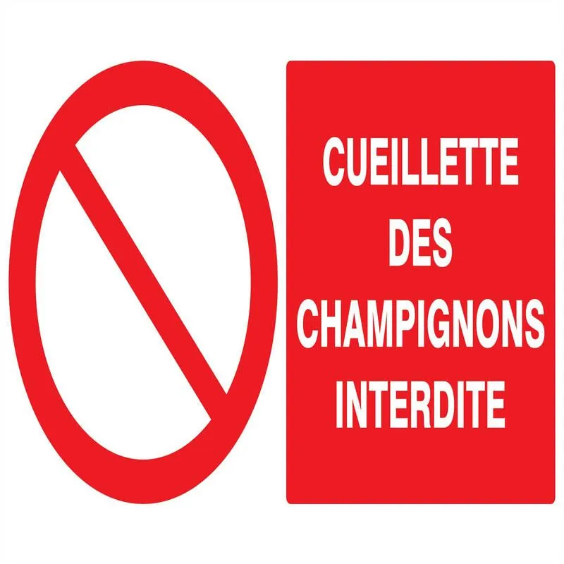 Panneau CUEILLETTE DES CHAMPIGNONS INT Taliaplast 621221