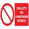 Panneau CUEILLETTE DES CHAMPIGNONS INT Taliaplast 621221