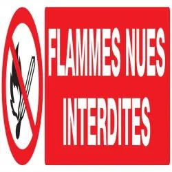 Panneau FLAMMES NUES INTERDITES NORMAS Taliaplast 620226
