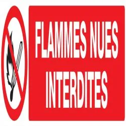 Panneau FLAMMES NUES INTERDITES NORMAS Taliaplast 625226
