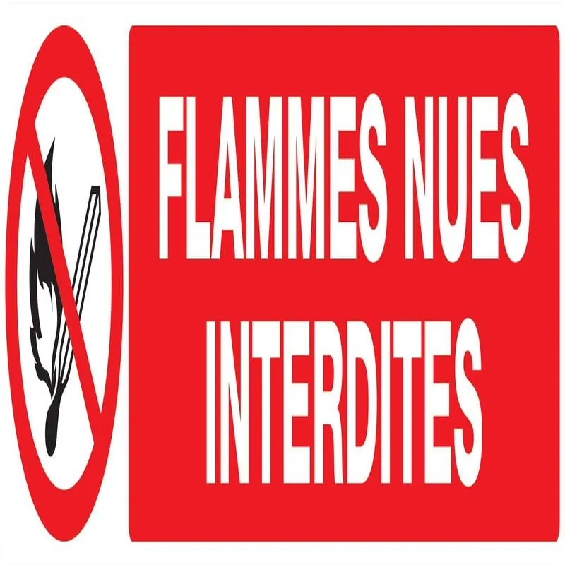 Panneau FLAMMES NUES INTERDITES NORMAS Taliaplast 625226
