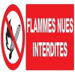 Panneau FLAMMES NUES INTERDITES NORMAS Taliaplast 626226
