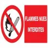 Panneau FLAMMES NUES INTERDITES NORMAS Taliaplast 621226