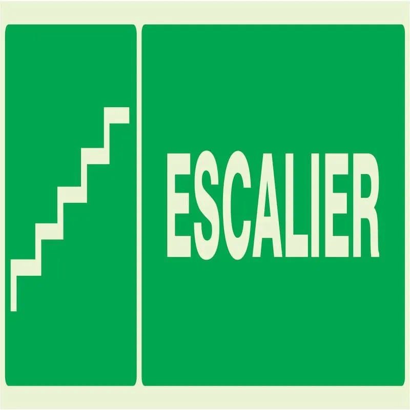 Panneau ESCALIER NORMASIGN LUMINESCENT Taliaplast 636422
