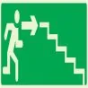 Panneau ESCALIER DESCEND.DROITE NORMAS Taliaplast 636430