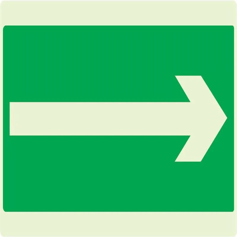 Panneau FLECHE (SECOURS) NORMASIGN LUM Taliaplast 631419