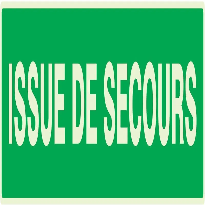 Panneau ISSUE DE SECOURS LUMINESCENT 3 Taliaplast 635402