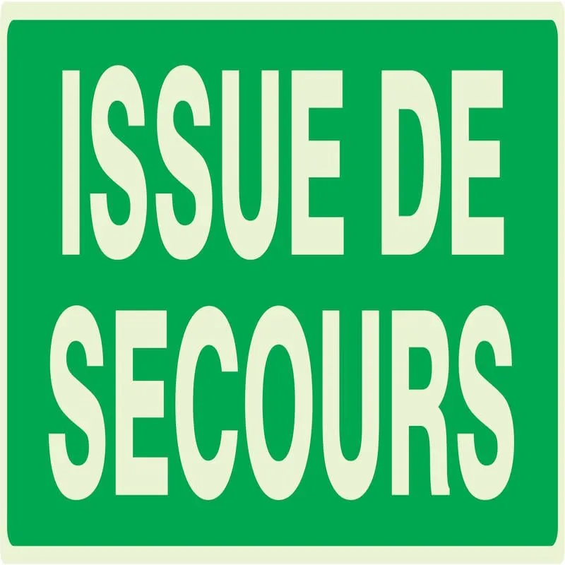 Panneau ISSUE DE SECOURS NORMASIGN LUM Taliaplast 636402