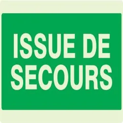 Panneau ISSUE DE SECOURS NORMASIGN LUM Taliaplast 631402