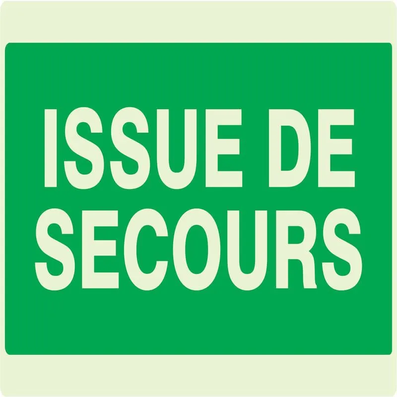 Panneau ISSUE DE SECOURS NORMASIGN LUM Taliaplast 631402
