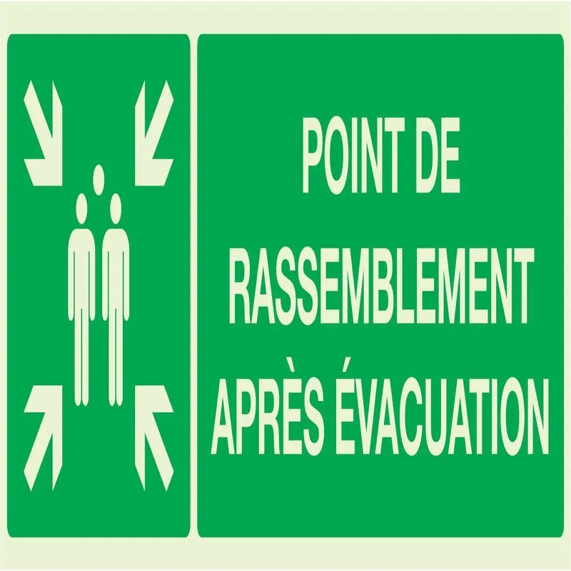 Panneau POINT RASSEMBL.APRES EVACUATI. Taliaplast 636408
