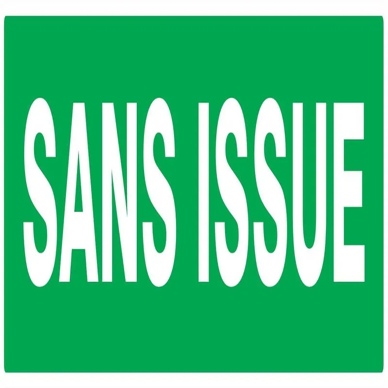 Panneau SANS ISSUE (SECOURS) 200X52 NO Taliaplast 620416