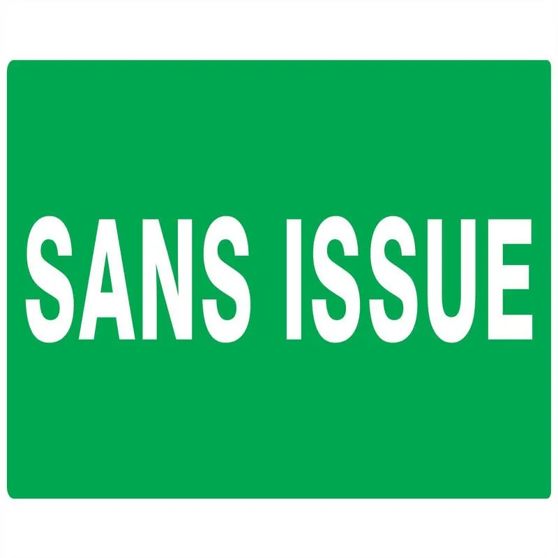 Panneau SANS ISSUE (SECOURS) 330X200 N Taliaplast 621417