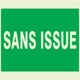 Panneau SANS ISSUE NORMASIGN LUMINESCE Taliaplast 631416