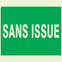 Panneau SANS ISSUE NORMASIGN LUMINESCE Taliaplast 631416