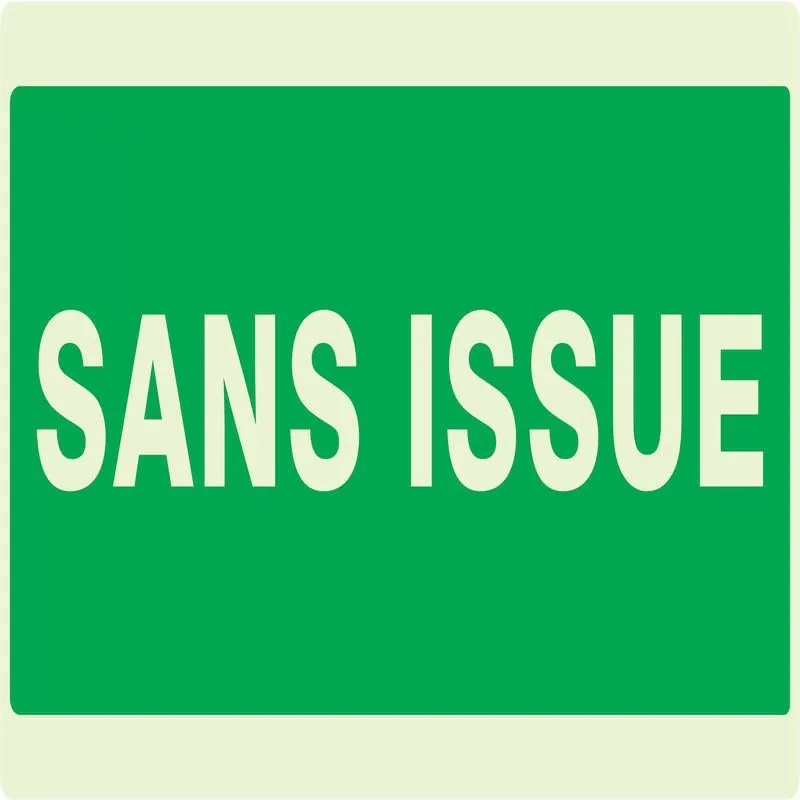 Panneau SANS ISSUE NORMASIGN LUMINESCE Taliaplast 631416
