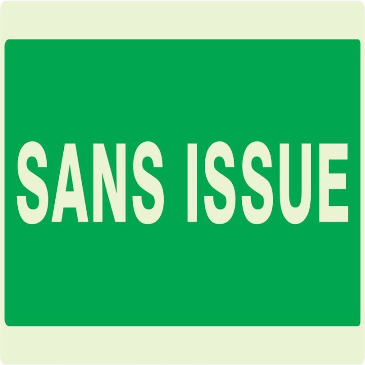 Panneau SANS ISSUE NORMASIGN LUMINESCE Taliaplast 631416