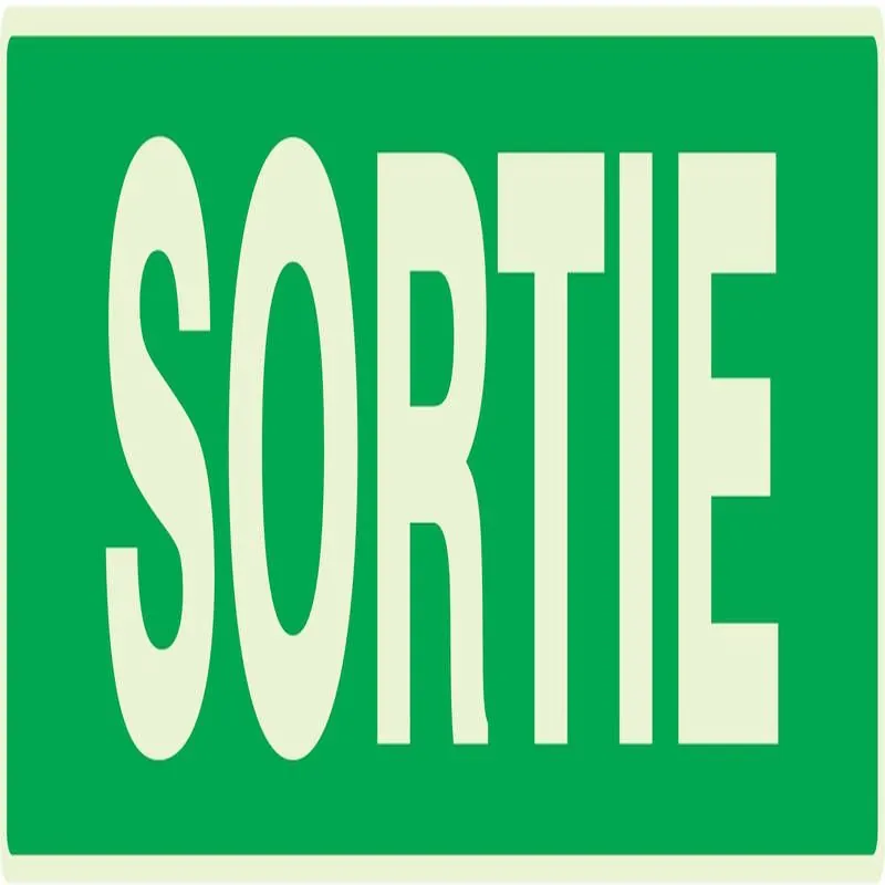 Panneau SORTIE NORMASIGN LUMINESCENT 3 Taliaplast 635404