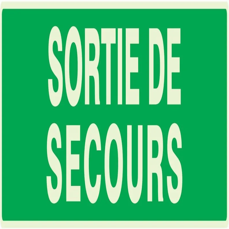 Panneau SORTIE DE SECOURS NORMASIGN LU Taliaplast 635432