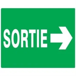 Panneau SORTIE FLECH.A DROITE 330X200 Taliaplast 621419