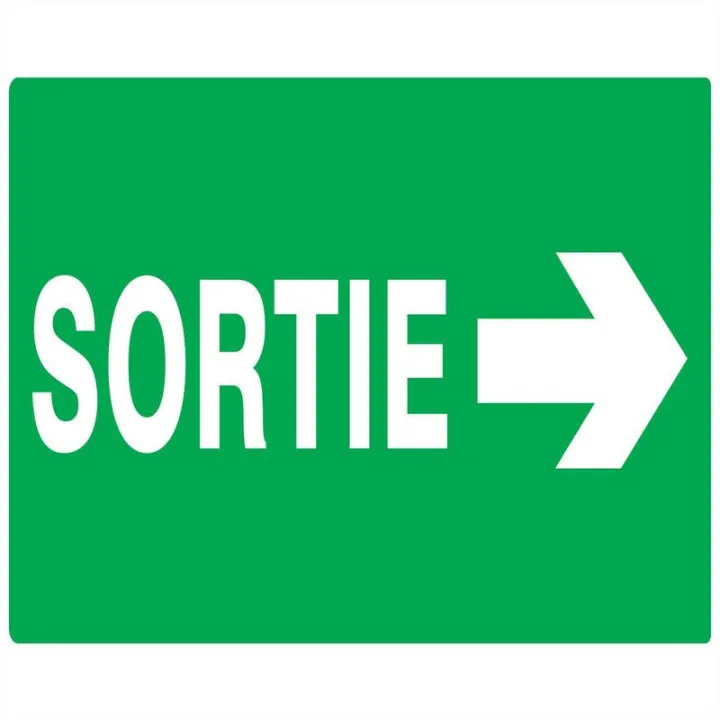 Panneau SORTIE FLECH.A DROITE 330X200 Taliaplast 621419