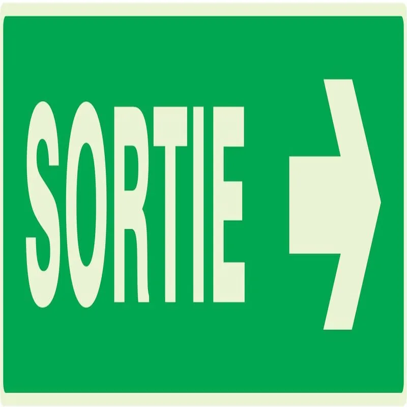 Panneau SORTIE FLECHE A DROITE NORMASI Taliaplast 635417