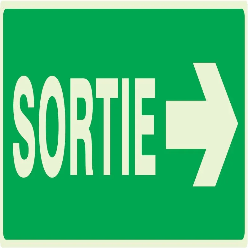 Panneau SORTIE FLECHE A DROITE NORMASI Taliaplast 636417