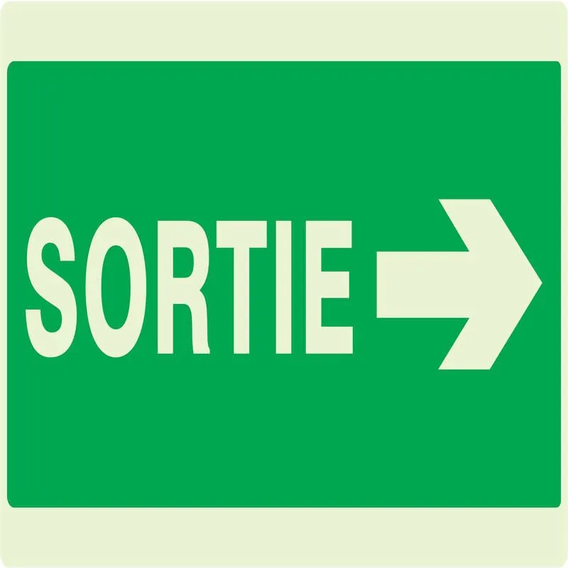Panneau SORTIE FLECHE A DROITE NORMASI Taliaplast 631417