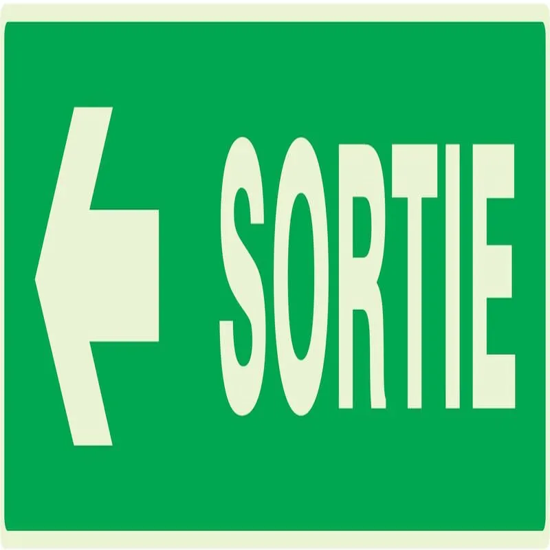 Panneau SORTIE FLECHE A GAUCHE NORMASI Taliaplast 635418