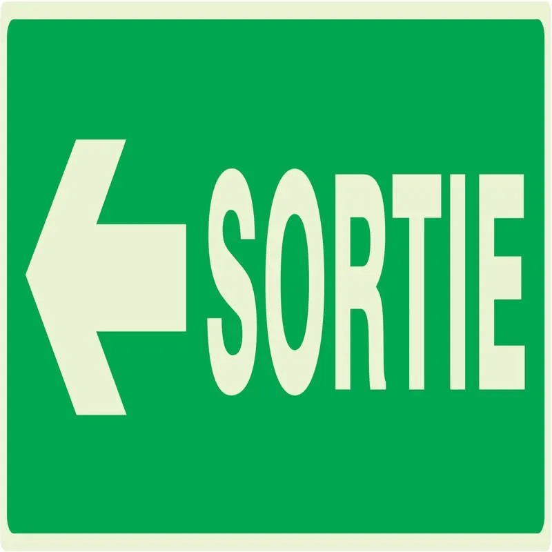 Panneau SORTIE FLECHE A GAUCHE NORMASI Taliaplast 636418