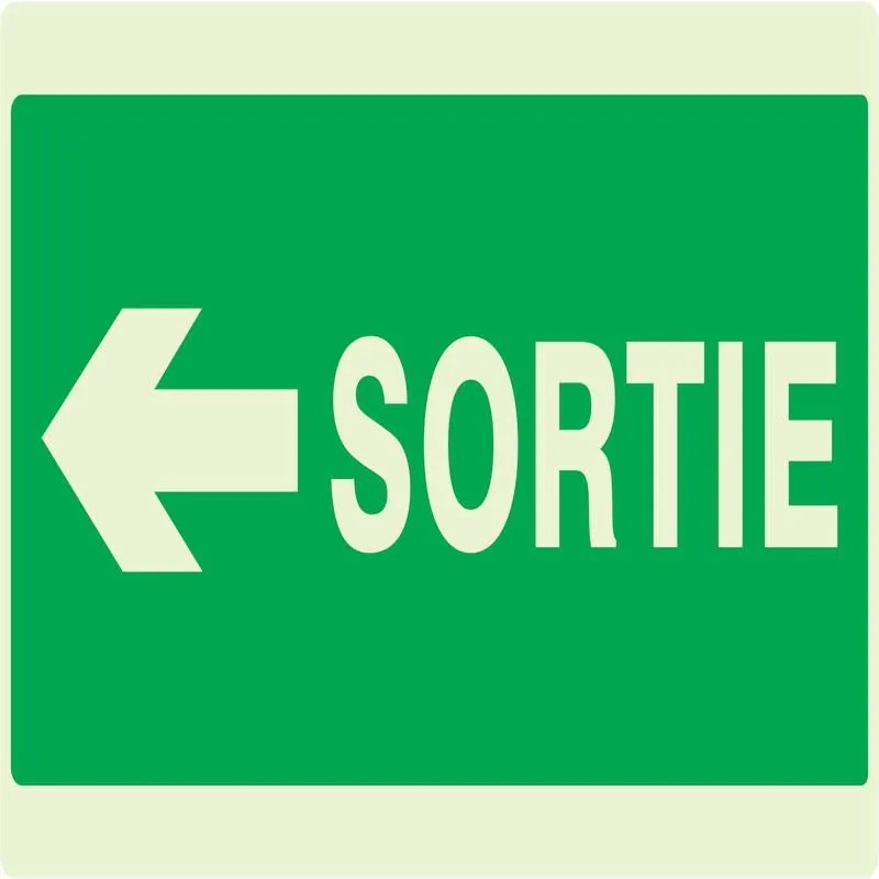 Panneau SORTIE FLECHE A GAUCHE NORMASI Taliaplast 631418