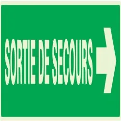 Panneau SORTIE DE SECOURS FLECHE A DRO Taliaplast 635415