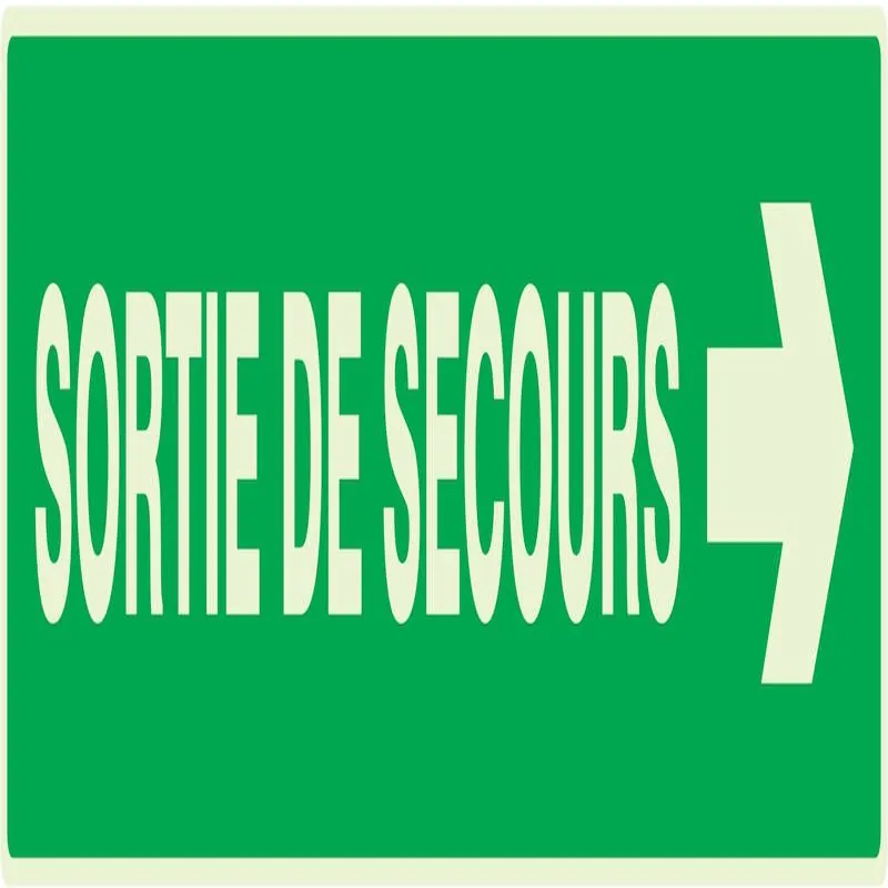 Panneau SORTIE DE SECOURS FLECHE A DRO Taliaplast 635415