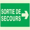 Panneau SORTIE SECOURS A DROITE NORMAS Taliaplast 631415
